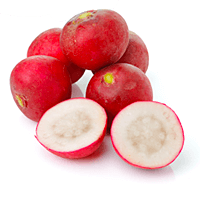Radish